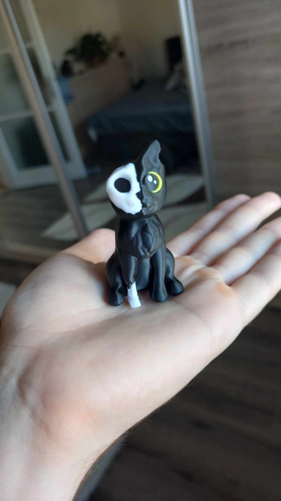 Gato Caveira